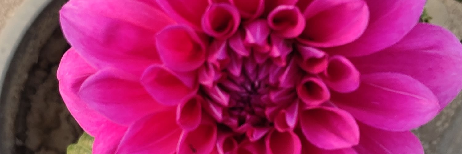 DebmitraSanyal's profile banner image