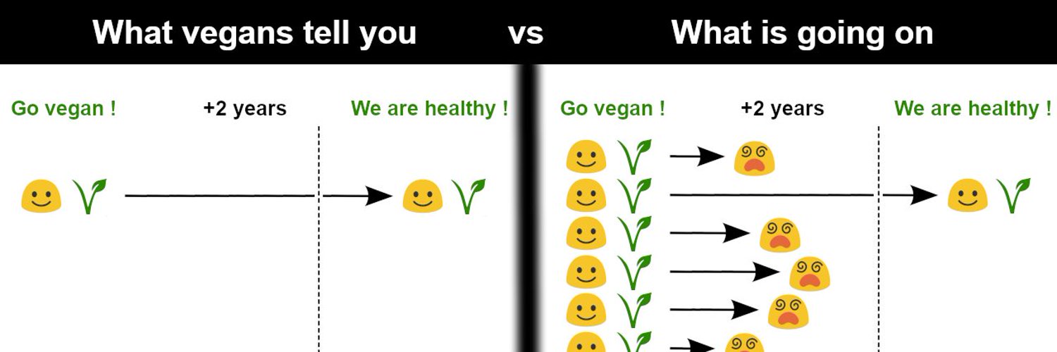 Vegans Get Sick 🤢 banner