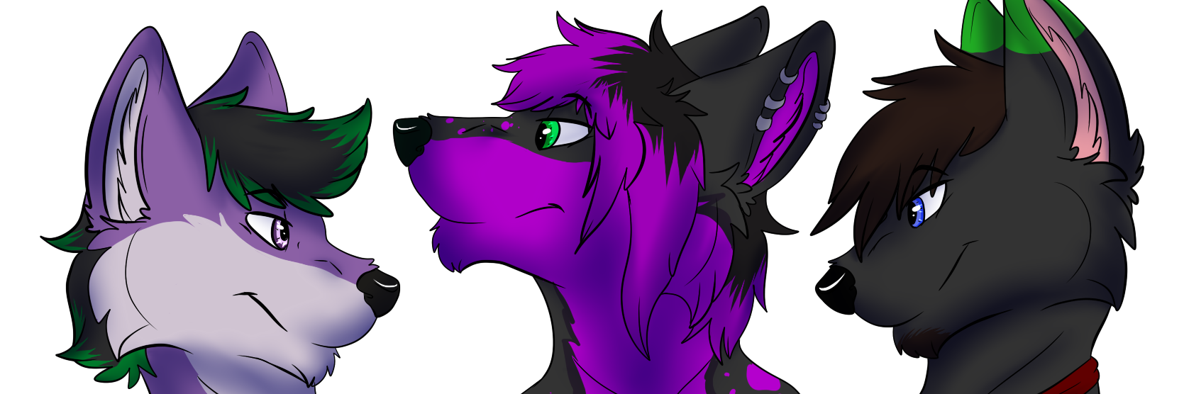 WolfyPaws's profile banner image
