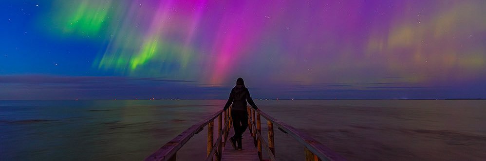 Diane Hammerling banner