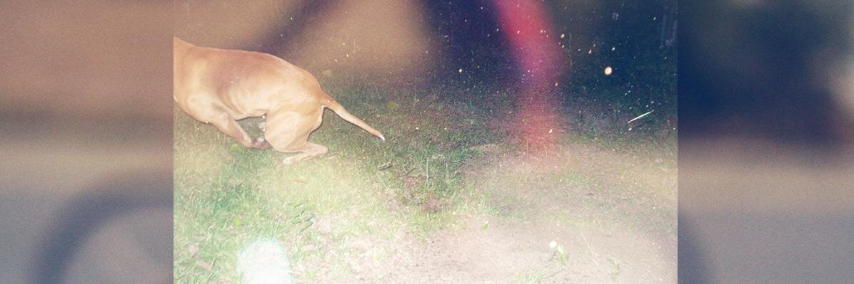 FakeSeanReilly's profile banner image