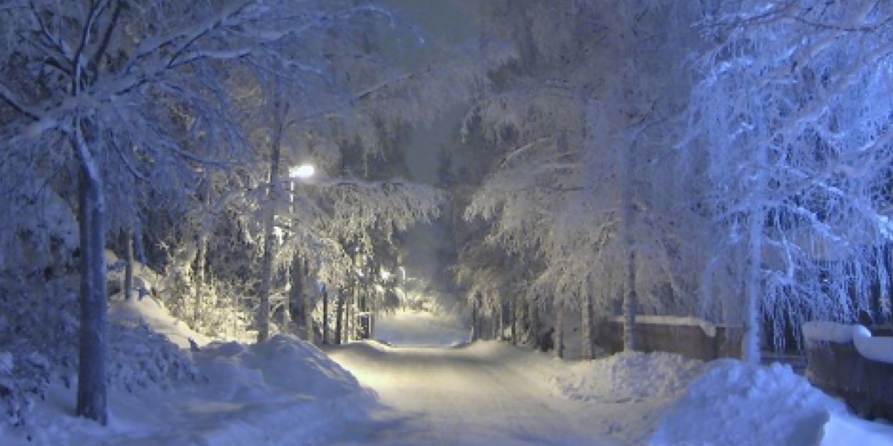 __nicole_s's profile banner image
