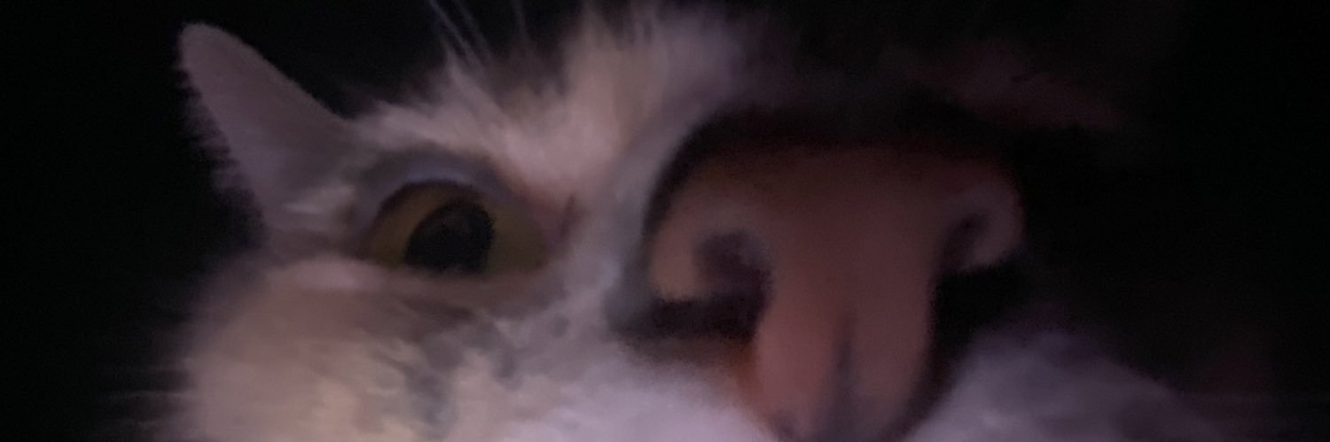 ahwtism's profile banner image