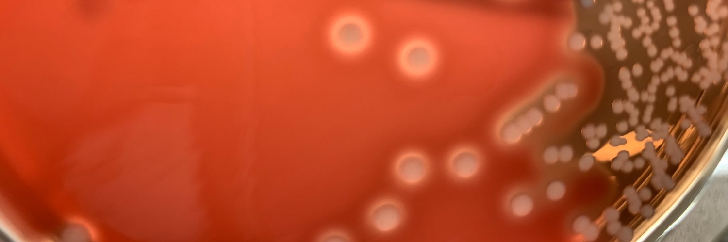 ZacRatzlaff's profile banner image
