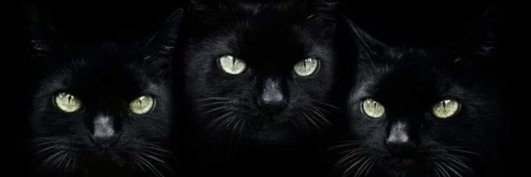folseangel's profile banner image