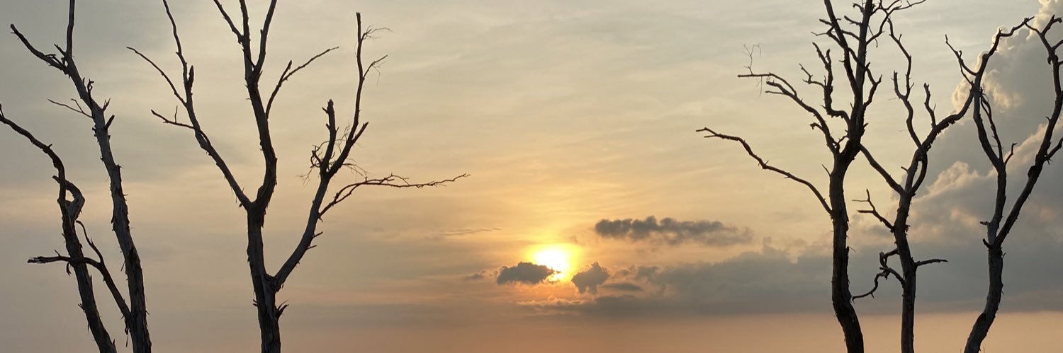 olivia febrianti banner
