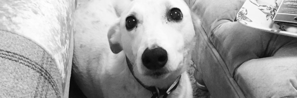 bethprocterX's profile banner image