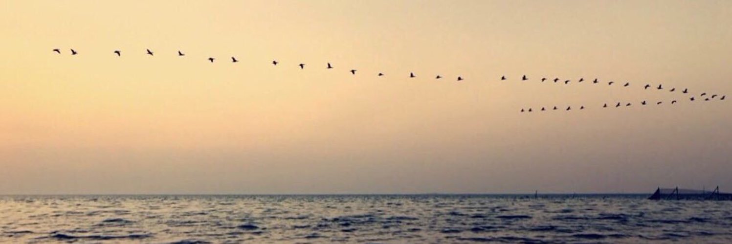 هناي بنت عبدالله banner