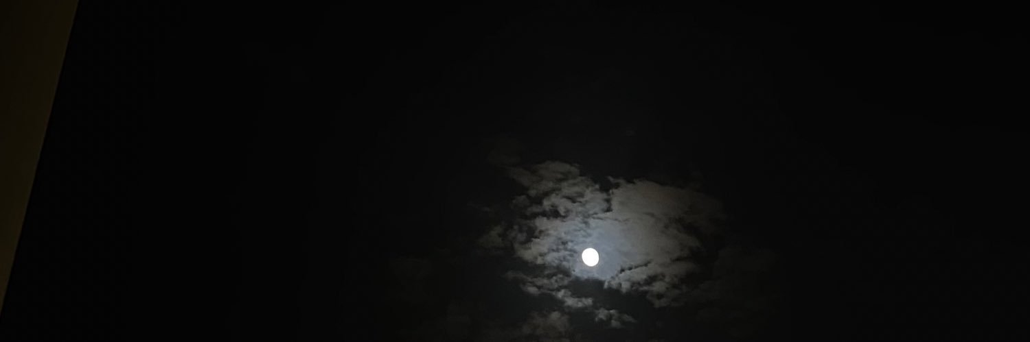 Leenly1's profile banner image