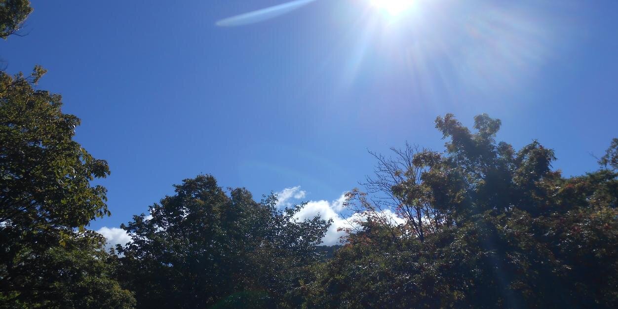 Odedon's profile banner image
