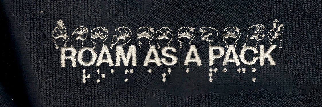 LILVIC 🐕‍🦺 banner