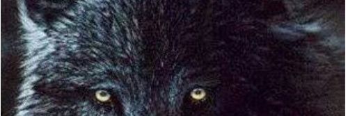 DrMuNtHeE's profile banner image