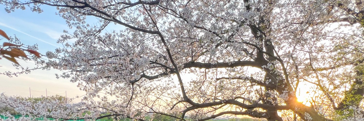 mikidaisuke's profile banner image