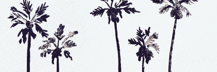 Caroline Chayot banner