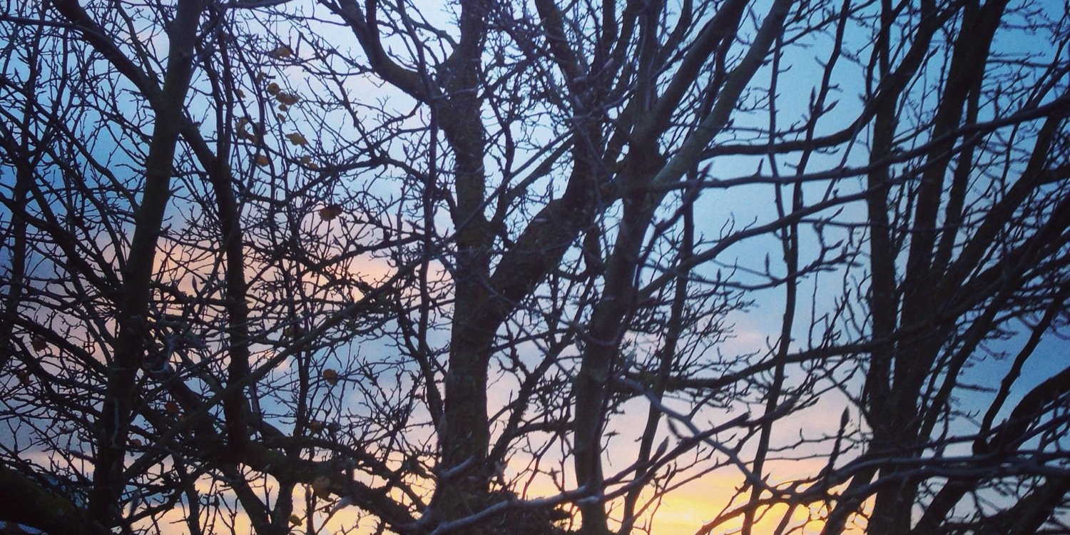 Kylie Schurmann banner