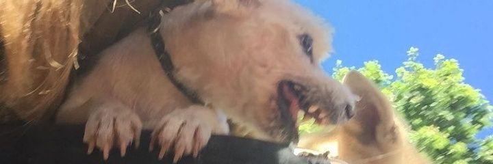 ufffmaria's profile banner image