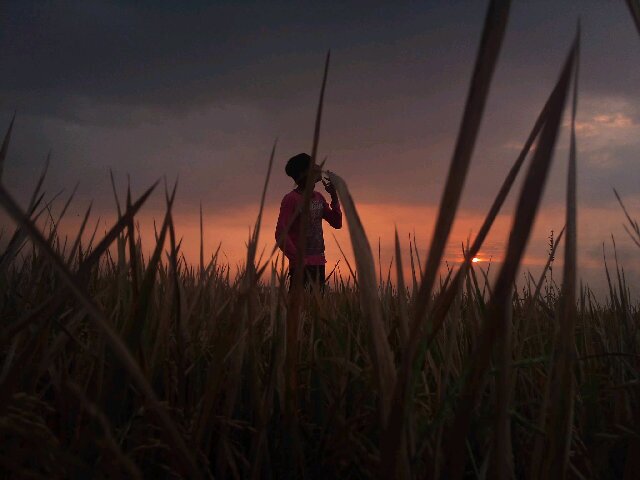 AzmyJamaica's profile banner image