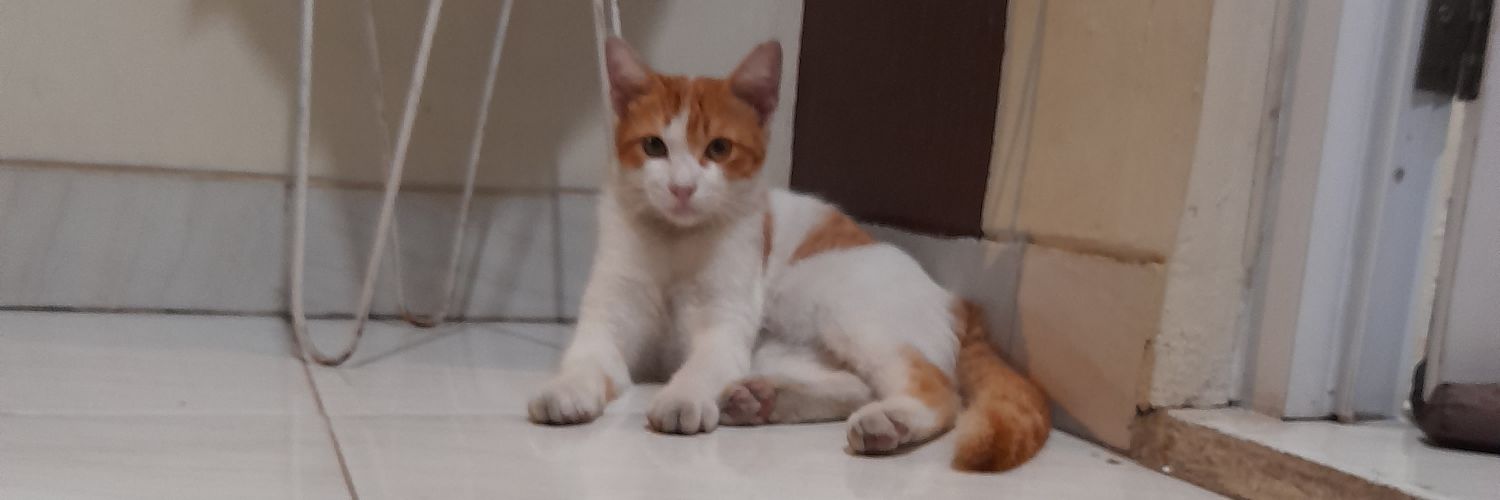 windawaridaa's profile banner image