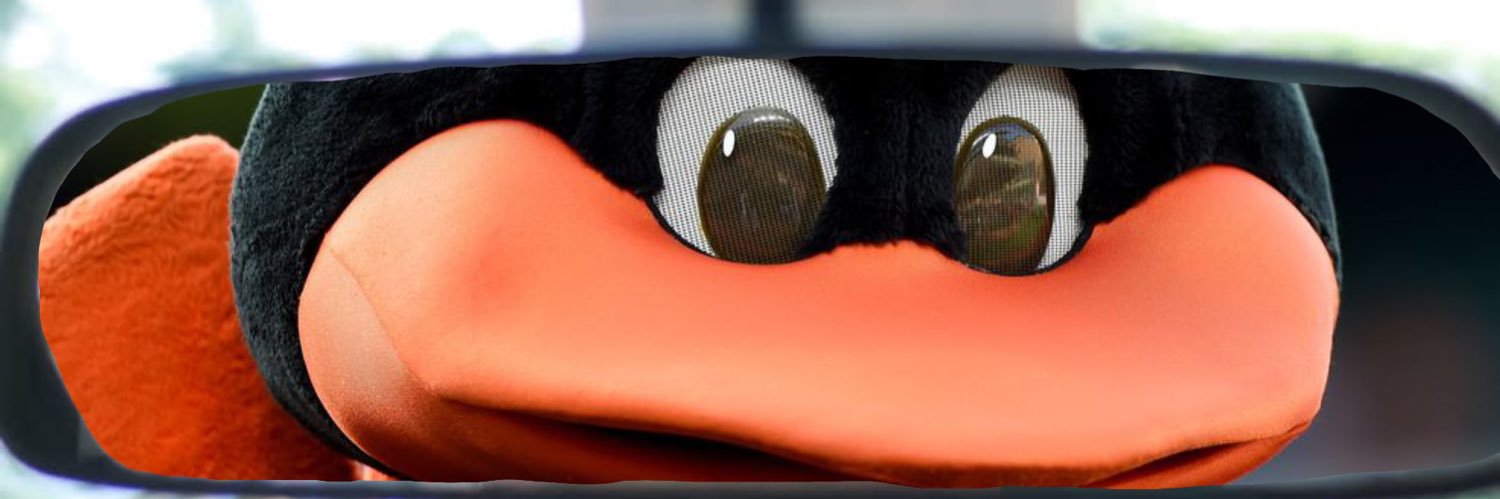 Sven banner
