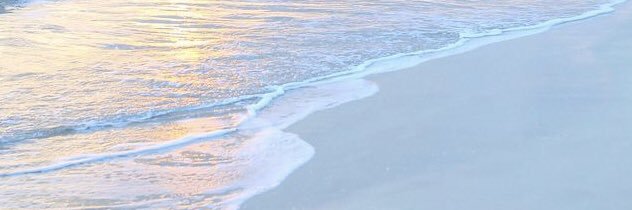 drr202's profile banner image