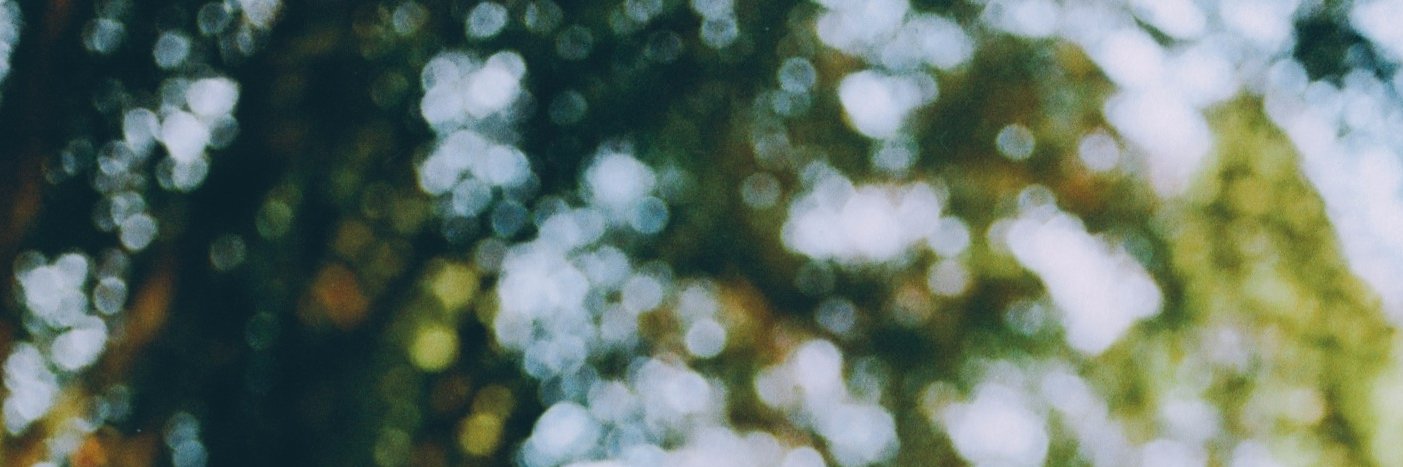 David_Findlay11's profile banner image
