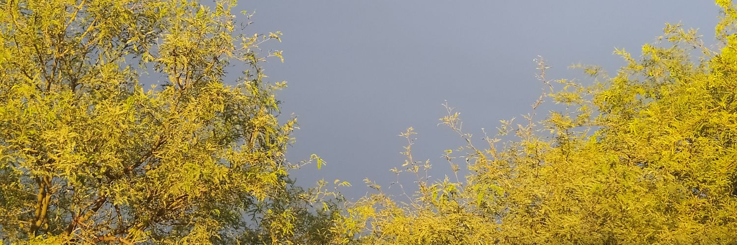 MPRmz7's profile banner image