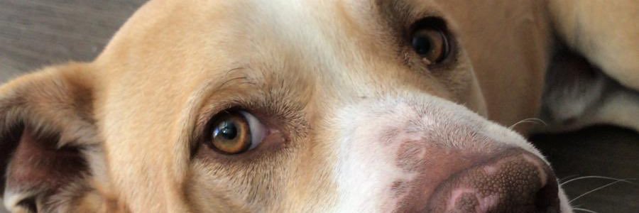 MartaMota3's profile banner image