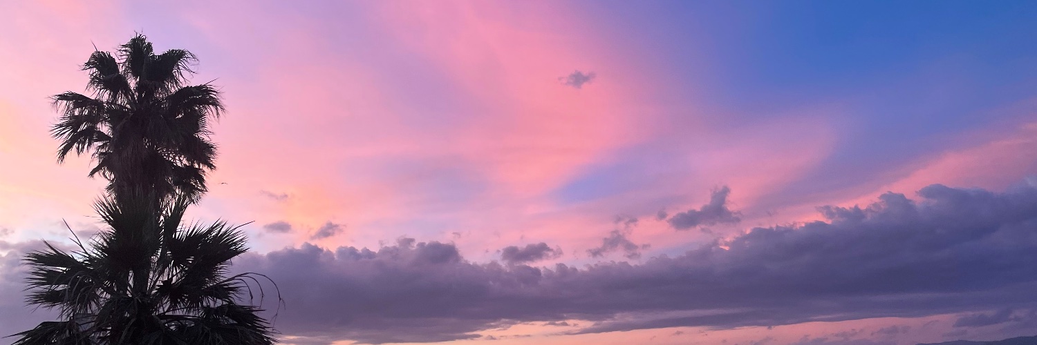 Nicolás Carrillo-Santarelli banner