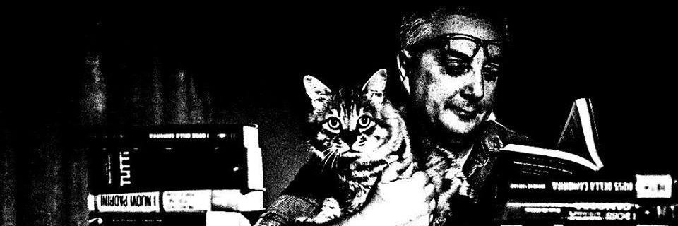 destefano66's profile banner image