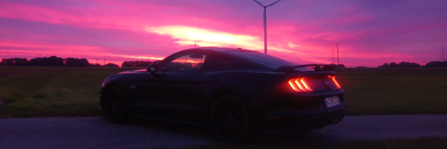 Ronny Muehlbach banner