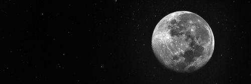 WendySamboni's profile banner image
