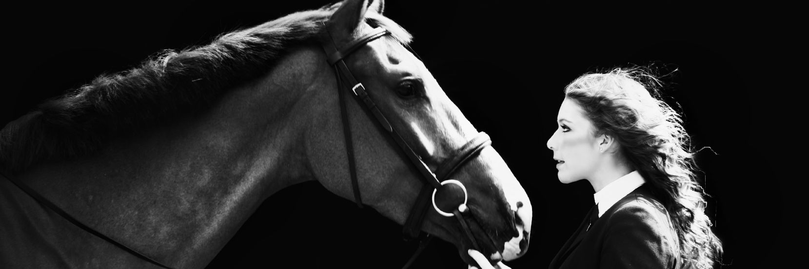 Horsehill Farm Livery banner