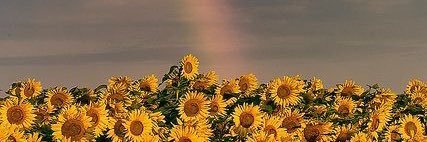 s_eed_10's profile banner image