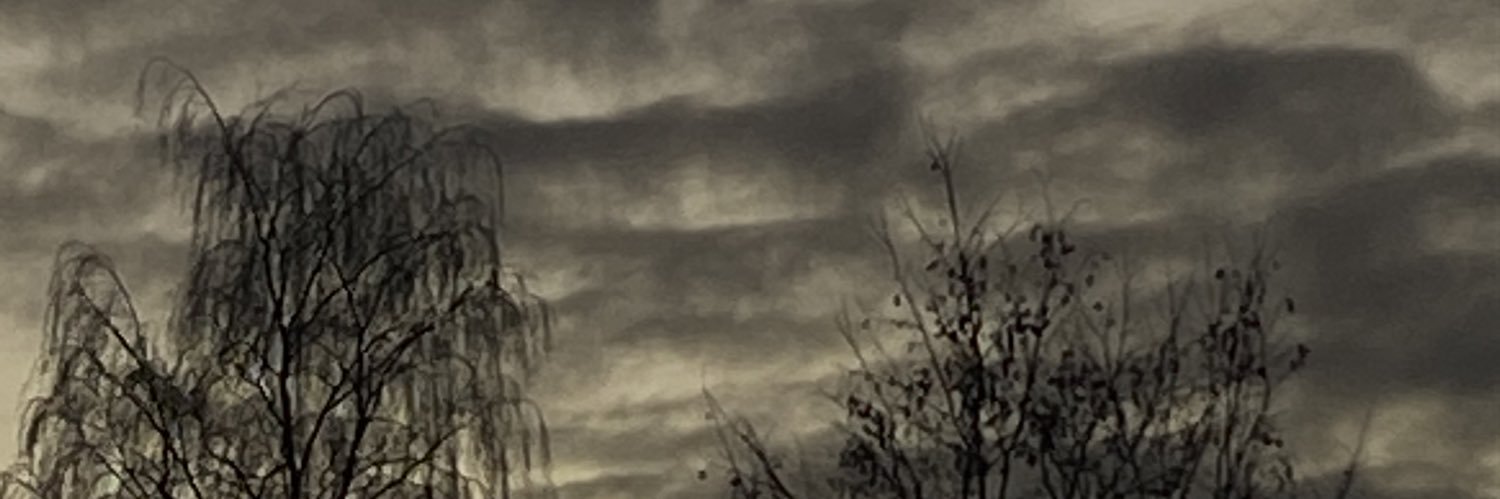FienVanWinghe's profile banner image