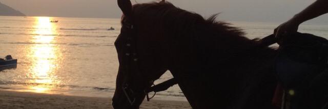 miss_emi_'s profile banner image