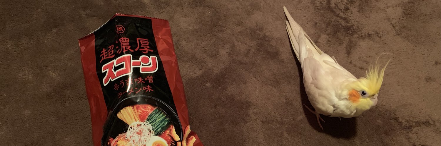 Yoko 🦅 banner