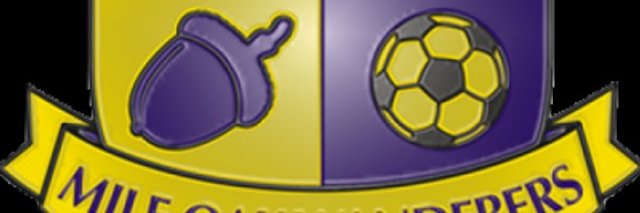 Mile Oak Wanderers banner