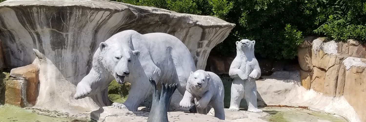 Chiteri Kevin || Tweets are mine banner