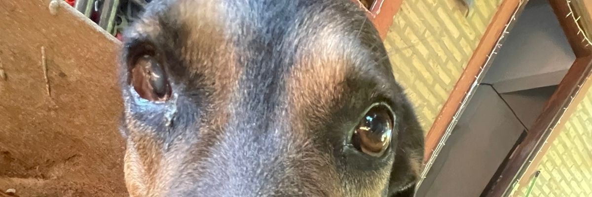 denario22's profile banner image