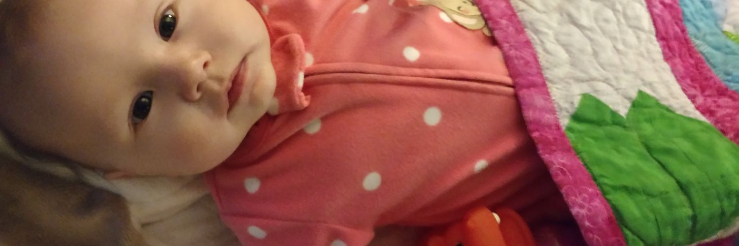 AmyScreams's profile banner image