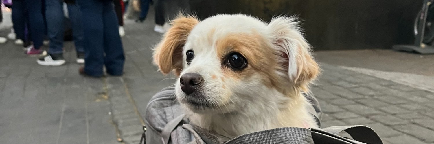 Vanee_Guerrero's profile banner image