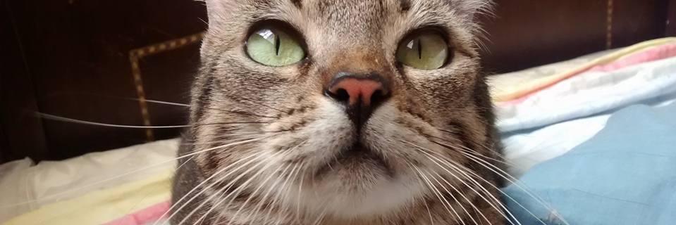 AndresDOA747's profile banner image