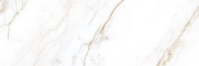 Ellexaco's profile banner image