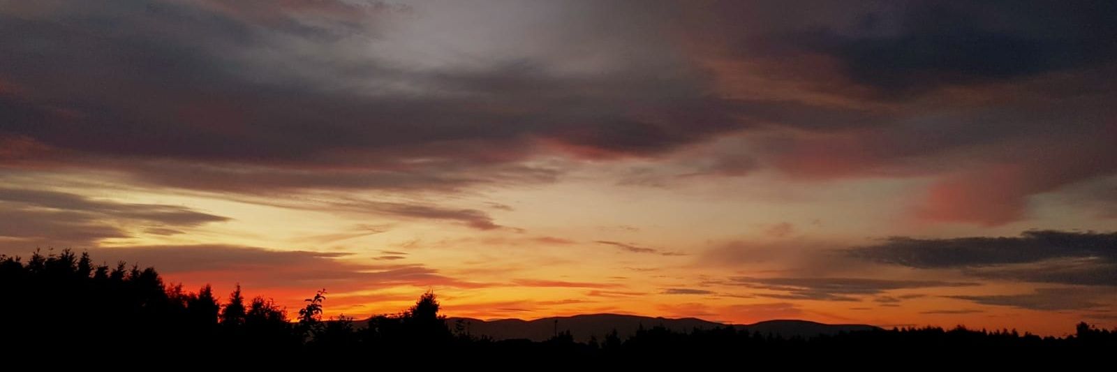 Miss Calderwood HT banner