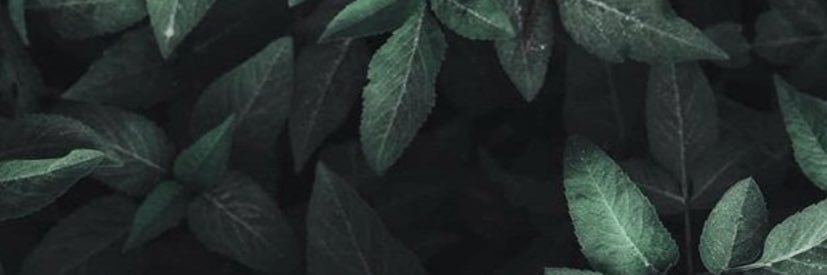 trubusch's profile banner image