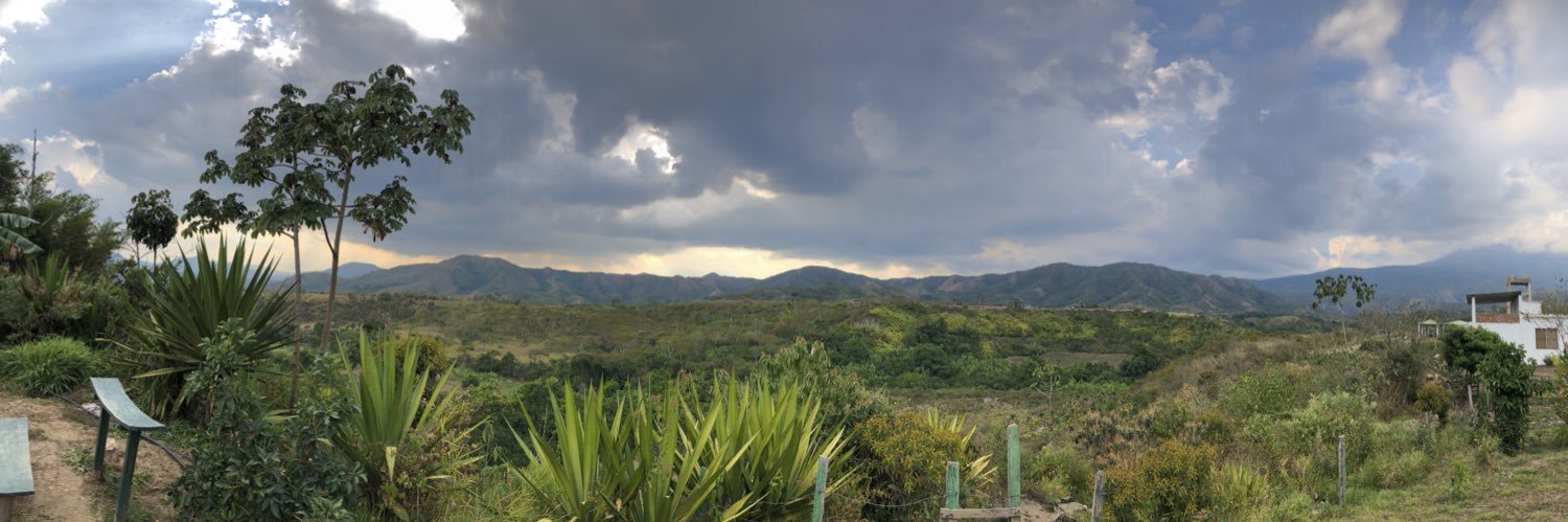 Lamafecienta's profile banner image