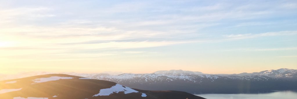 elsawiking's profile banner image