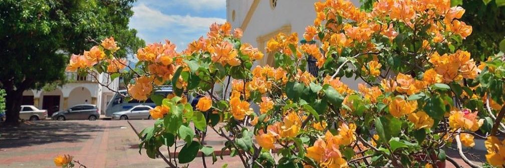pastora_m's profile banner image