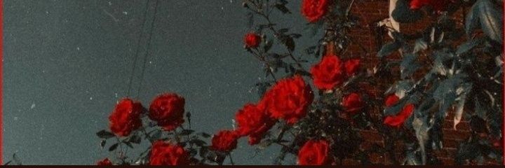 soqfsqf's profile banner image