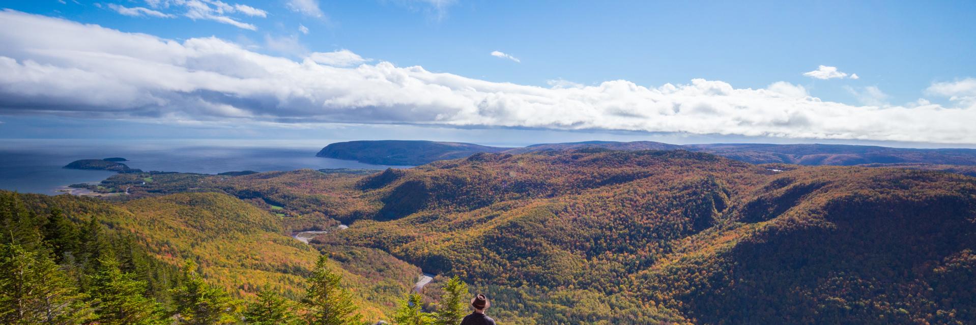 CBC Mainstreet Hfx banner